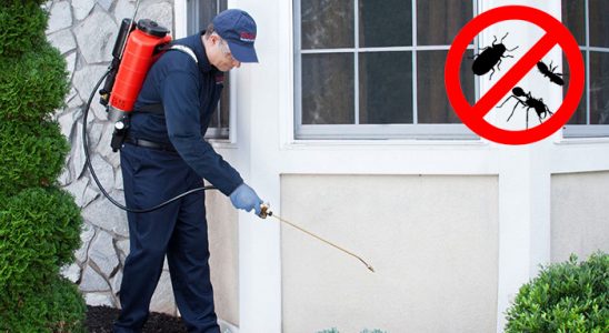 İstanbul Akrep İlaçlama böcek ilaçlama ve haşere kontrolü — ilaclama-tr.com